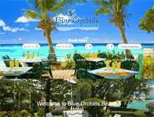 Tablet Screenshot of blueorchidsbarbados.com